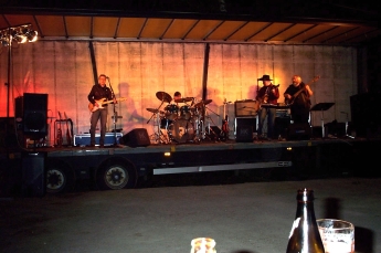 Sawdust